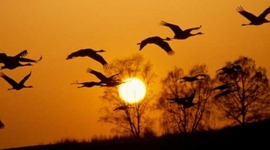 Timeline: 4. unitatea pausoka