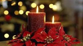 Timeline: Вистави січня