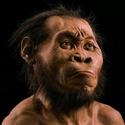 Timeline: The Human Story