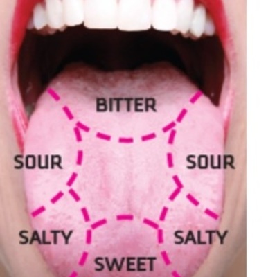 Timeline: DOMESTIC AFFAIRS: Beyond the Tastebuds, The Science of Deliciousness