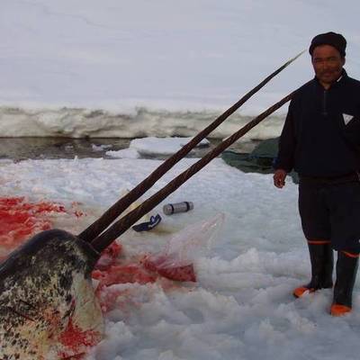 Timeline: 11th Grade English