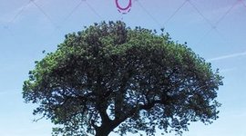 Timeline: Diary of A Misfit~ Order book http://amzn.com/1477119558