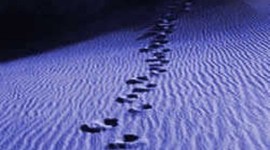 Timeline: Hombres y mujeres que dejaron sus huellas en la Argentina