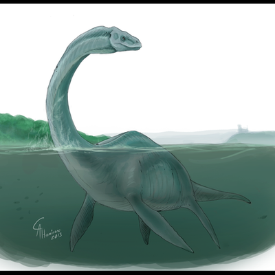 Timeline: Nessie timeline