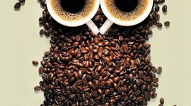 Timeline: Розпорядок дня вчителя