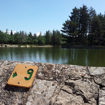 Timeline: Panneau audio guidé