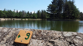 Timeline: Panneau audio guidé