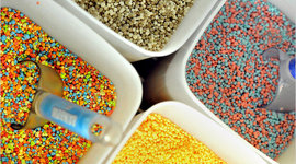 Timeline: Dippin Dots