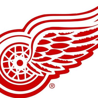 Timeline: The History of Redwing Hockey