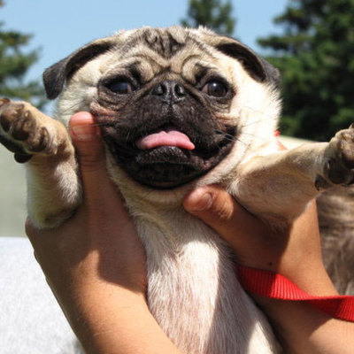 Timeline: Major Events since 1945