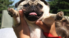 Timeline: Major Events since 1945