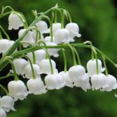 Timeline: A pénz története