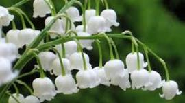 Timeline: A pénz története