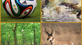 Timeline: Life of Me