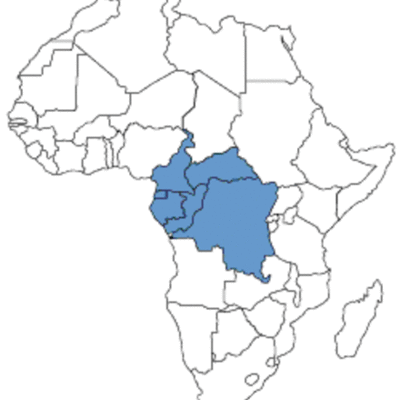 Timeline: The History of The Central African Region