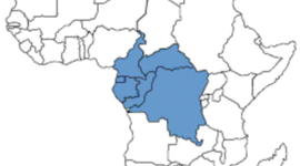 Timeline: The History of The Central African Region