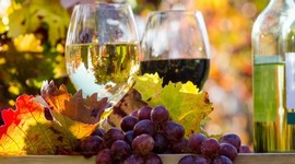 Timeline: HISTORIA DEL VINO