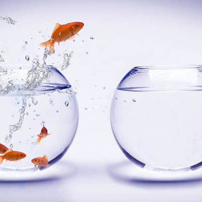 Timeline: The colours of Europe- PORTUGUESE MIGRATION