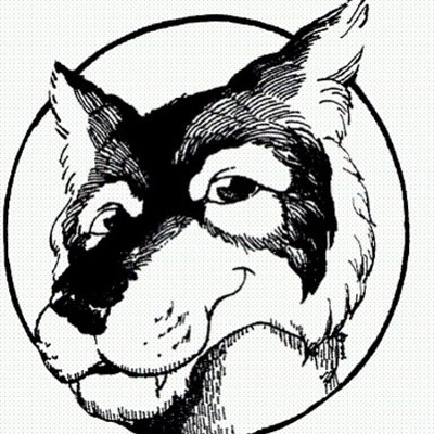 Timeline: Towers through the years from 2016-2020