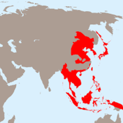 Timeline: The Building of Japans Biggest Empire