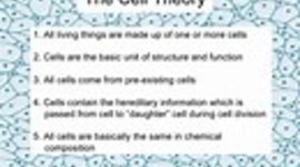 Timeline: Tucker Ryan- Cell Theory