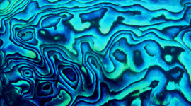 Timeline: How to create a timeline using TIMETOAST