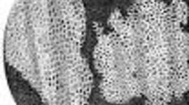 Timeline: Cell Theory project