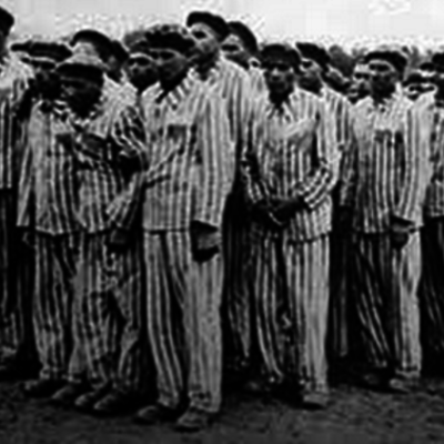 Timeline: 8 Carpenter Holocaust