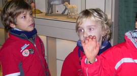 Timeline: MyTimeLine