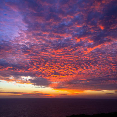 Timeline: Languages learning timeline