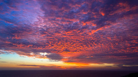 Timeline: Languages learning timeline