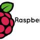 Raspberry pi logo