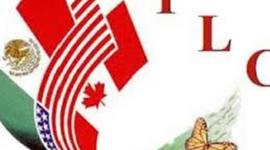 Timeline: Políticas económicas