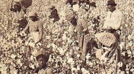 Timeline: The Second Half of the Antebellum Era: 1836-1860