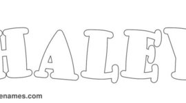 Timeline: Haley's Financial Timeline