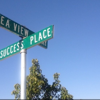 Timeline: Sea View 2020