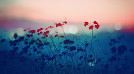 Timeline: Profeten Muhammed og Islams tidlige historie