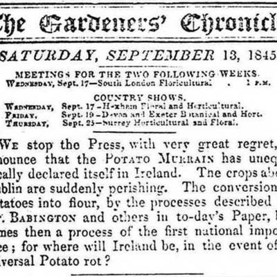 Timeline: The Un-Luck of the Irish