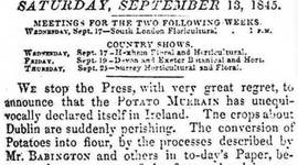 Timeline: The Un-Luck of the Irish