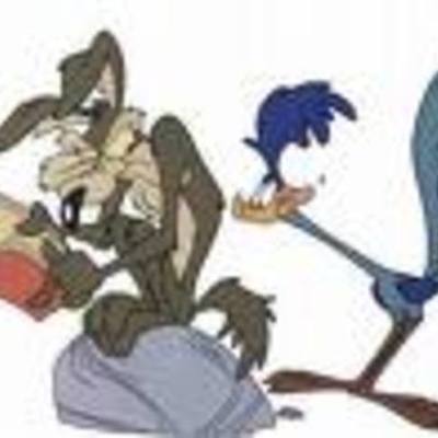 Timeline: Estudio de Campamento RTE