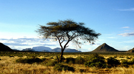 Timeline: East Africa Folktale