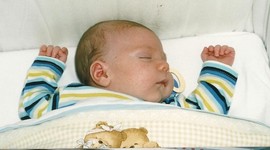 Timeline: Fris Cronològic