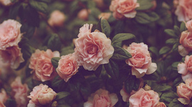 Timeline: HISTORIA DE LA ESTADÌSTICA