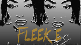 Timeline: Evaluation Question 3