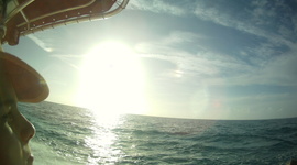 Timeline: Evolution of Swimming