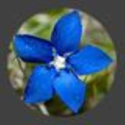 Timeline: CALENDARIO FISCAL PYME 2016