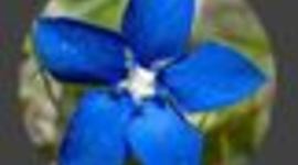 Timeline: CALENDARIO FISCAL PYME 2016