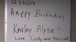 Timeline: Karley Johnson