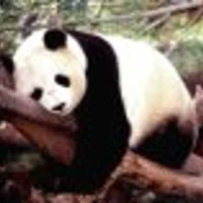 Timeline: Timeline Example