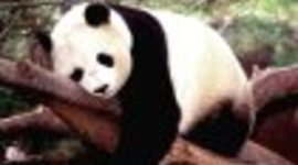 Timeline: Timeline Example